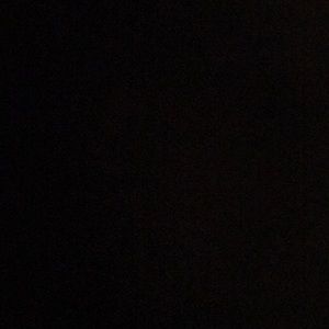 Meet your Posher, Dani